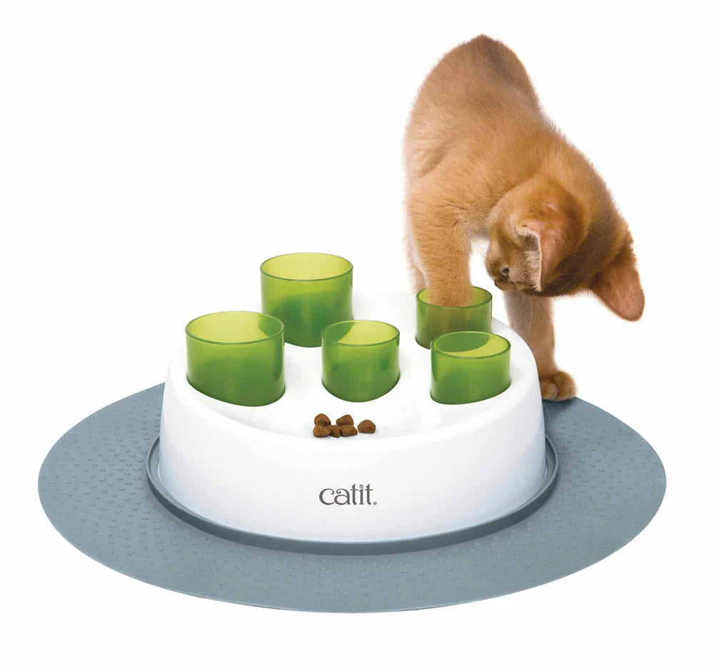 Cat Kitten Food Hunting Challenge Toy | Hiding Kibble Dryfood Game Feeder Puzzle