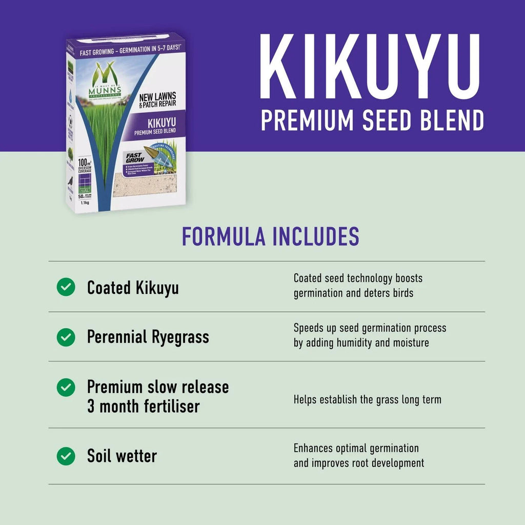 Munns Kikuyu Lawn Seed Blend 2.5kg, New Lawn Combination Emerald Kikuyu and Perennial Ryegrass, Gardening Lawn Seed Blend