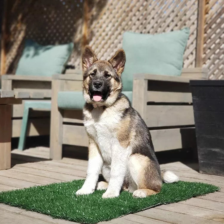 Indoor Dog Pet Grass Potty Poo Wee Toilet Training Portable Pad Tray Turf Vetinary