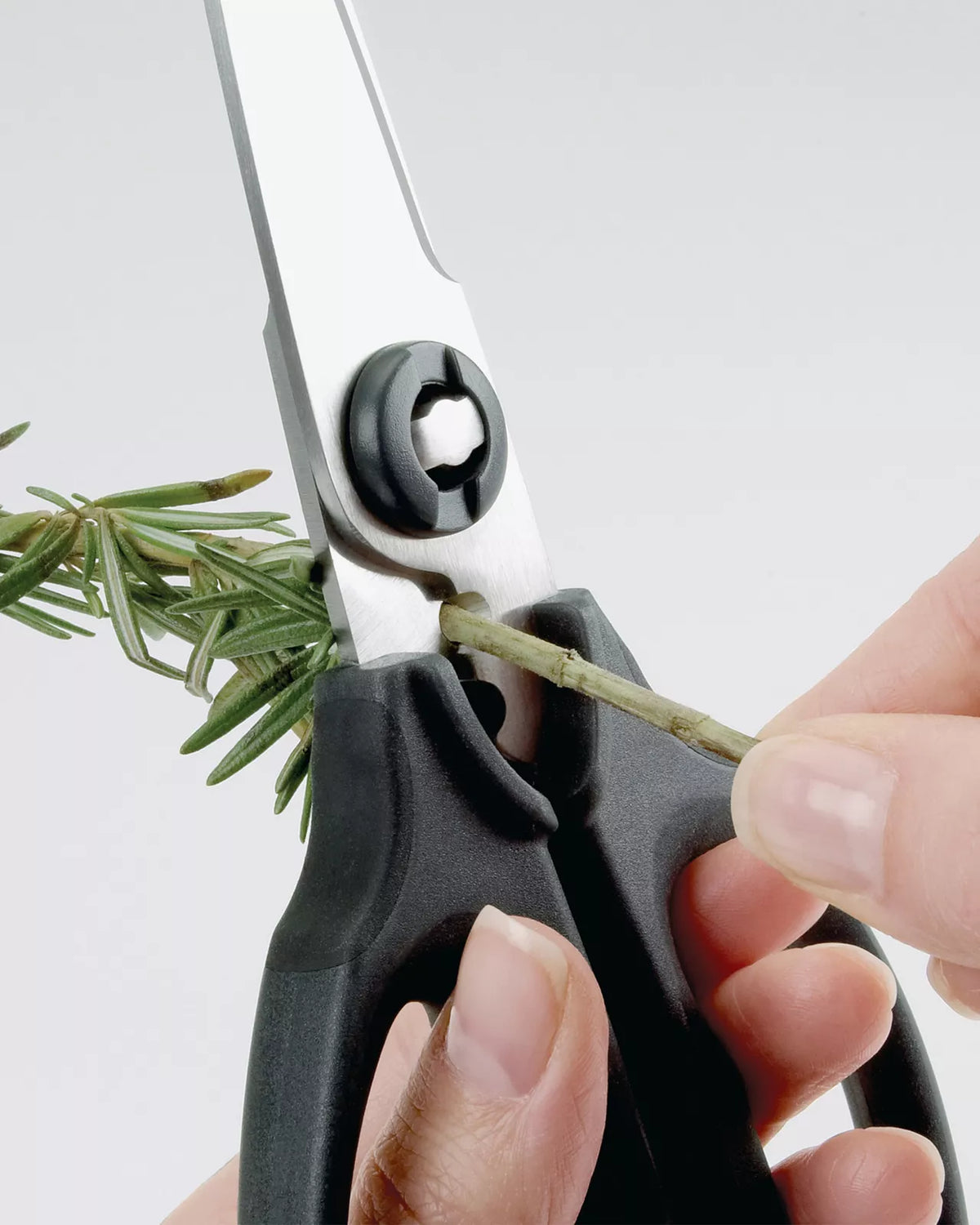 OXO Kitchen Herb Cutting Scissors| Stainless Steel Meat Vegetable Cheese Cutting Shears| BPA Free