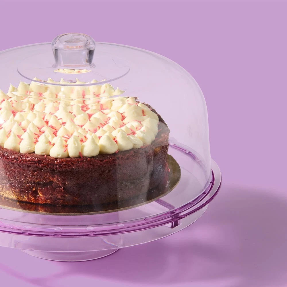 Cake Cupcake Container Holder Cake Stand with Lid | Storage Chip Dip Display Rack