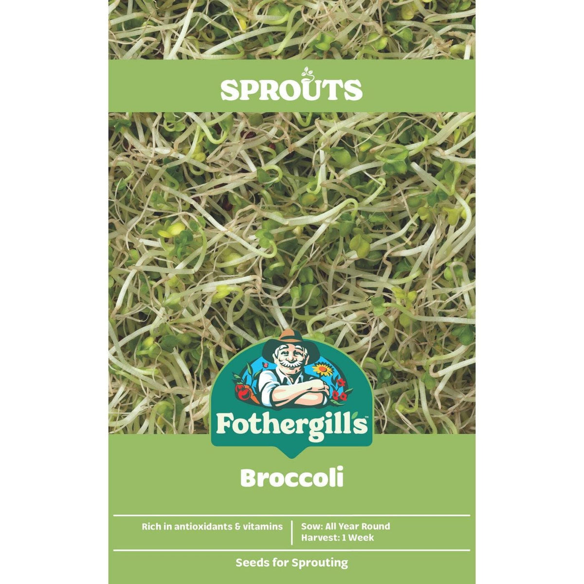 4x Fothergill's Broccoli Sprouts Vegetable Seeds, Home Indoor Garden Sprouting Broccoli Sprouts