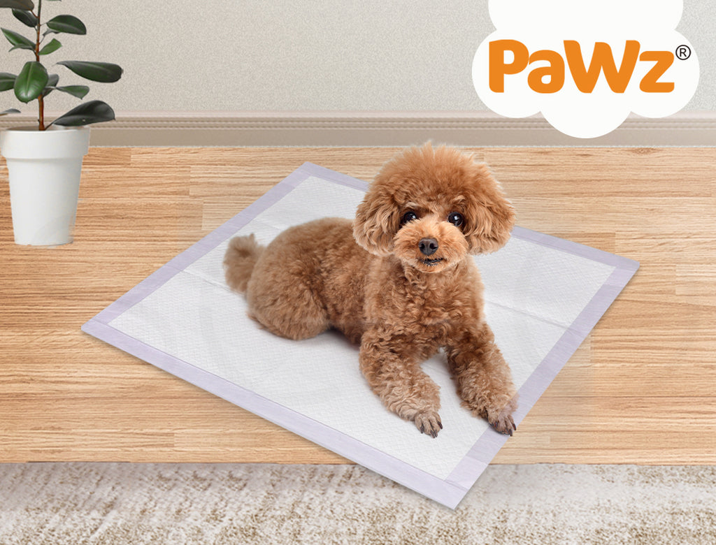 200x Scented Puppy Dog Training Pads  Absorbent Poo Wee Collecting Mats Pet Leakproof Indoor Room Toileting 60x60cm