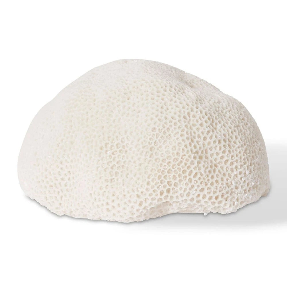 Bedside Coral Resin Lamp Starlet Light Tabletop Home Decor Table Lamp Nightstand 35x27cm