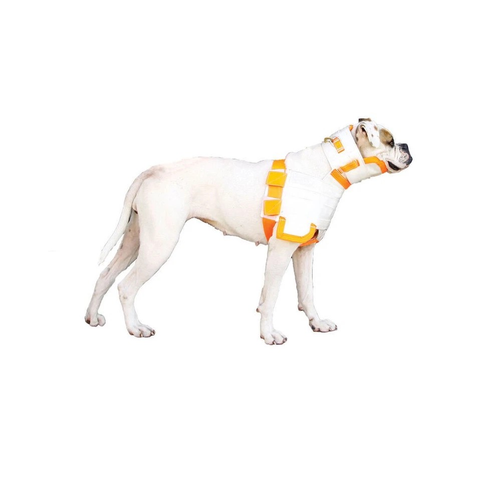 RPR Nelson RIP | Hunting Security Vest | Adjustable For Dogs 30-40kg | Large