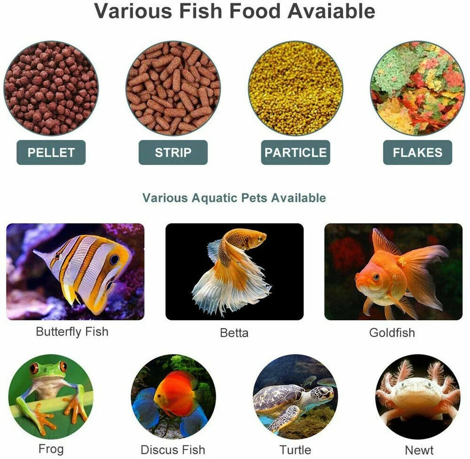 Auto Fish Feeder with Digital Timer | Pond & Aquarium Pet Food Dispenser | Holiday Use | Velcro Strip |