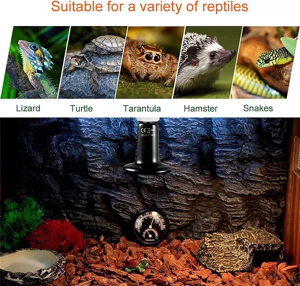 Ceramic Heat Emitter | 75W - Infrared Heat Lamp | For Reptiles, Chickens & Pets | No Light Heat Bulb for Terrariums & Brooders