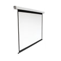 Brateck 135" Projector Electric Presentation Screen Movie Theatre Projection