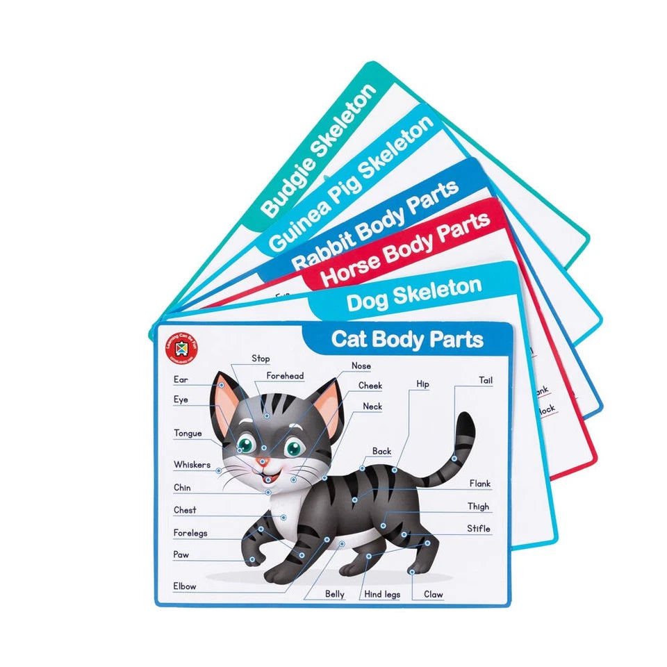 My First Vet Set | Kids Pretend Play Toy Blue | Learning Can Be Fun