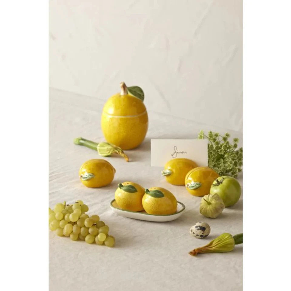 Emporium Limoncello Salt & Pepper Set | Stylish Salt & Pepper Duo | Stoneware Salt & Pepper | Modern Kitchen |
