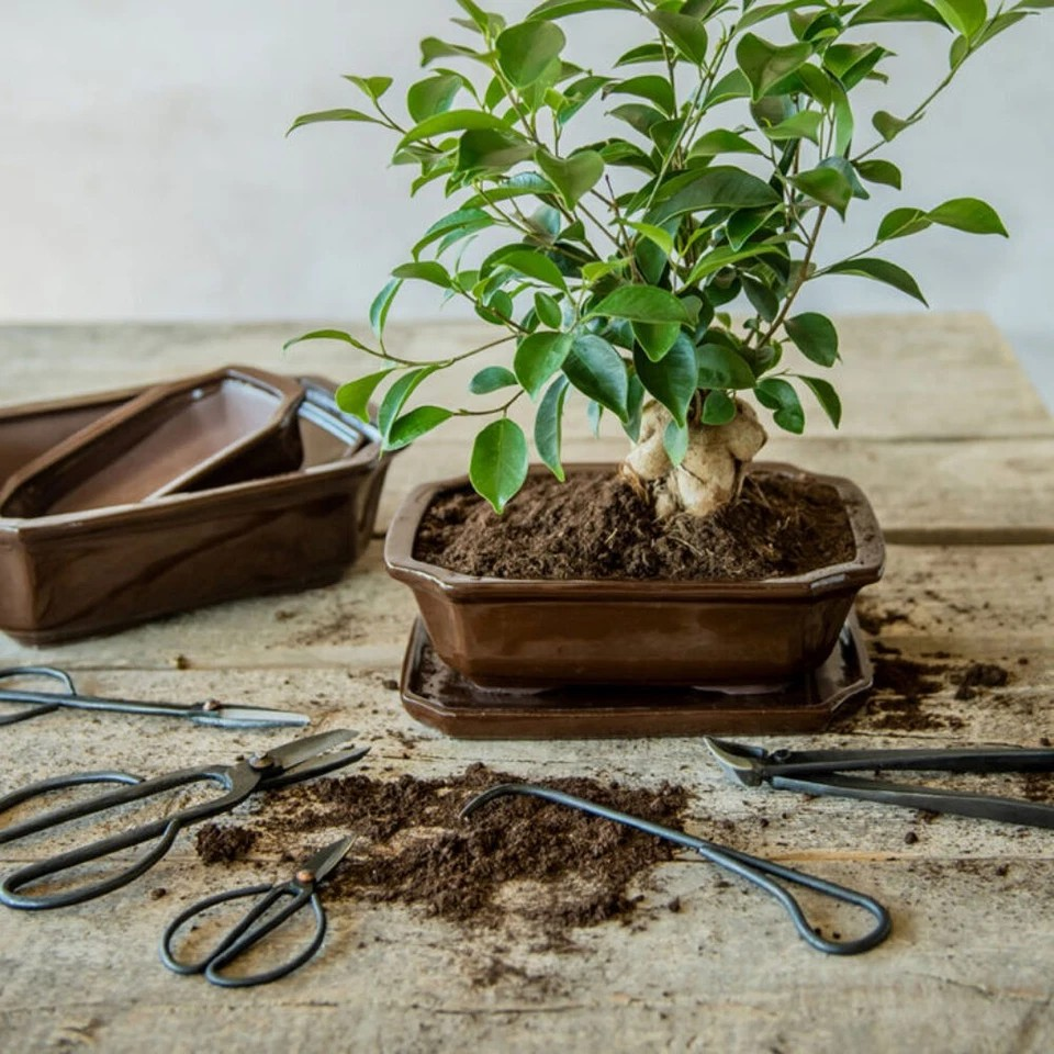 Bonsai Slim Twig Shears | Esschert | Carbon Steel Gardening Tool | Balanced Clippers